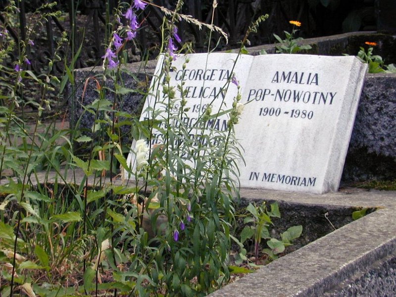 DSCN5652 (web).jpg